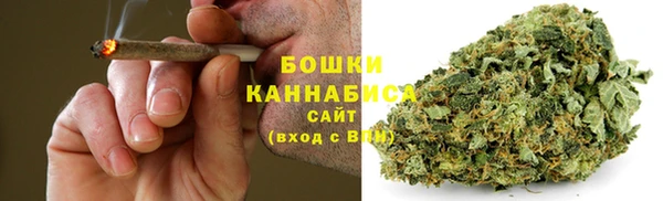прущие крисы Абаза