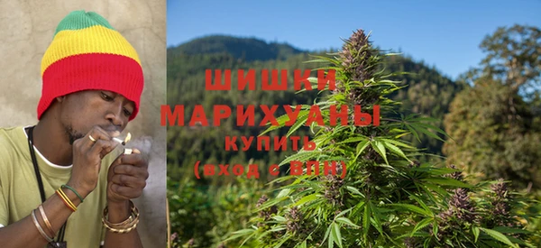 прущие крисы Абаза